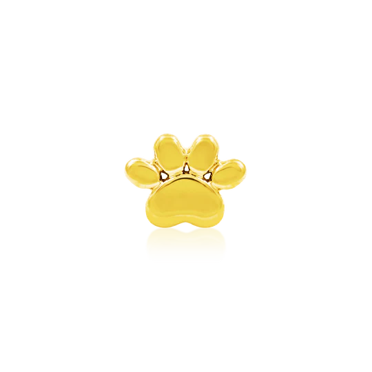 GOLD DOG PAW